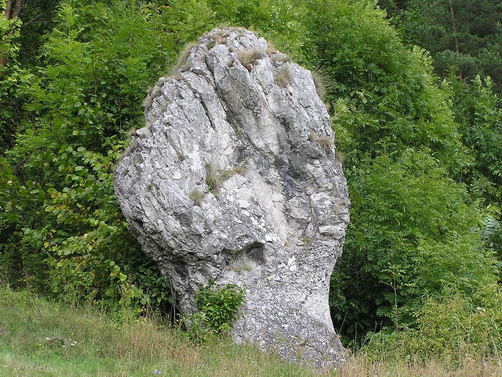 1024x768-6133.jpg